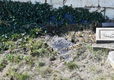 Skupice, Omnium, 2020