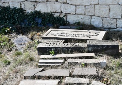 Skupice, Omnium, 2020