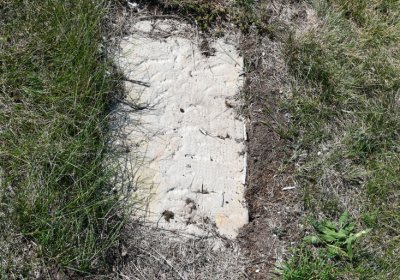 Skupice, Omnium, 2020