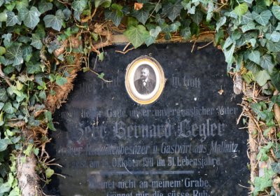 Skupice, Omnium, 2020