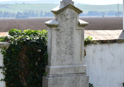 Skupice, Omnium, 2020