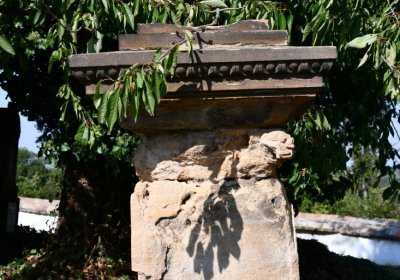 Skupice, Omnium, 2020