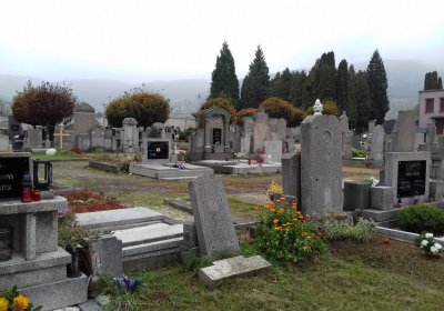 Kmínek Michal, 2019