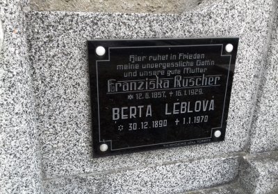 Kmínek Michal, 2019