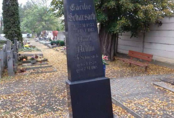 Kmínek Michal, 2019