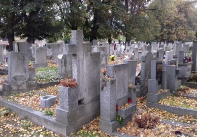 Kmínek Michal, 2019