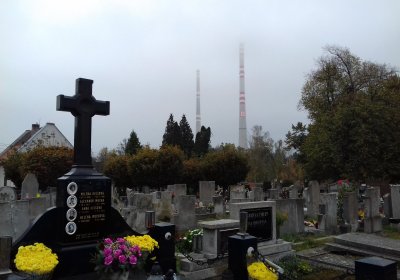 Kmínek Michal, 2019