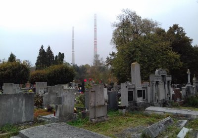 Kmínek Michal, 2019