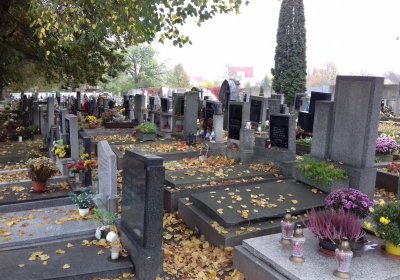 Kmínek Michal, 2019