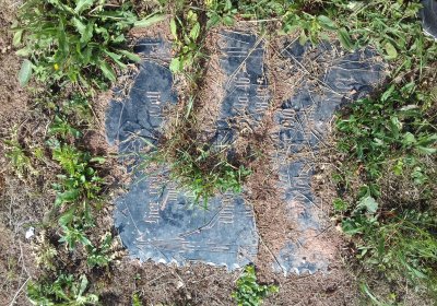 Kmínek Michal, 2018