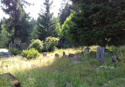 Kmínek Michal, 2019