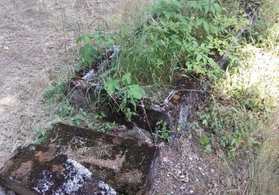 Kmínek Michal, 2019