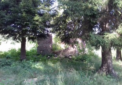 Kmínek Michal, 2019