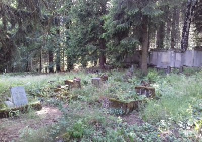 Kmínek Michal, 2019