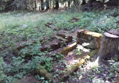 Kmínek Michal, 2019