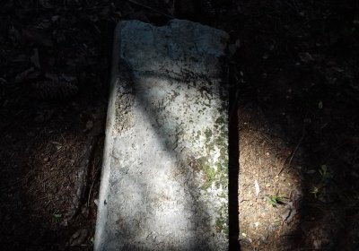 Kmínek Michal, 2019