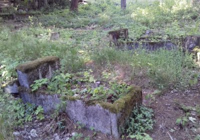 Kmínek Michal, 2019