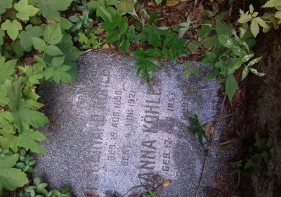 Kmínek Michal, 2019