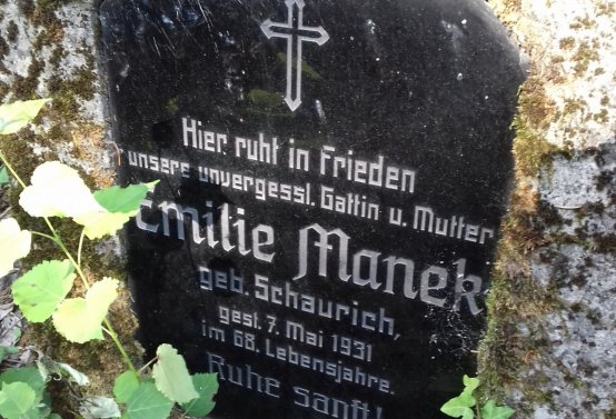 Kmínek Michal, 2019
