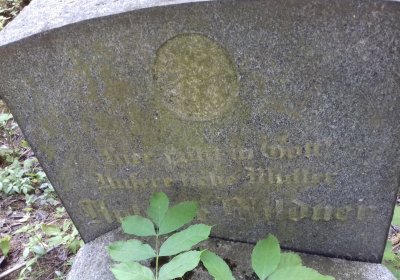 Kmínek Michal, 2019