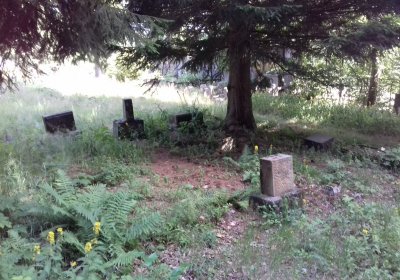 Kmínek Michal, 2019