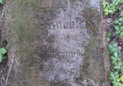 Kmínek Michal, 2019