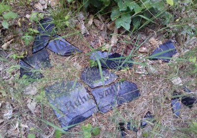 Kmínek Michal, 2019