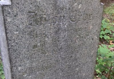 Kmínek Michal, 2019