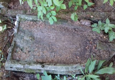 Kmínek Michal, 2019