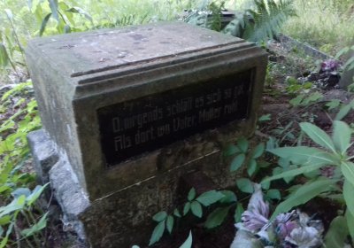 Kmínek Michal, 2019