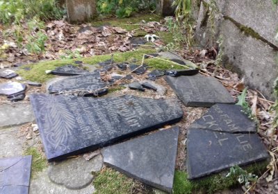 Kmínek Michal, 2019