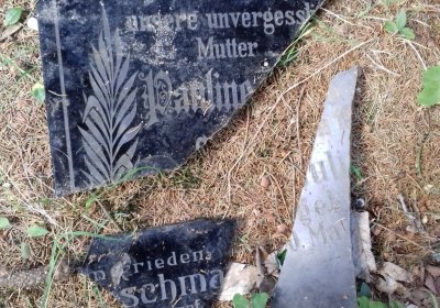 Kmínek Michal, 2019