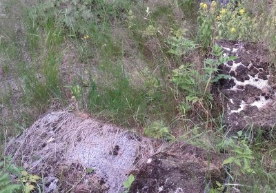 Kmínek Michal, 2019