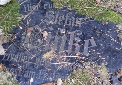 Kmínek Michal, 2019