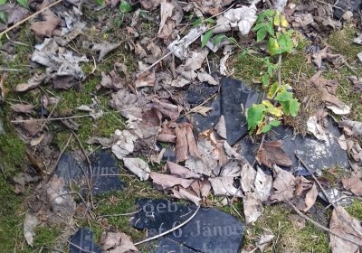 Kmínek Michal, 2019