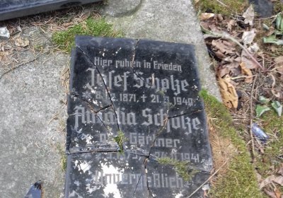 Kmínek Michal, 2019