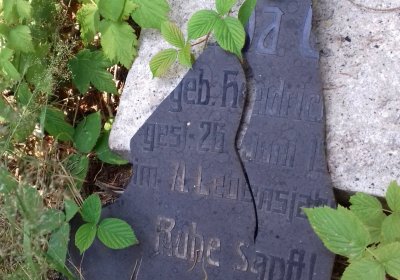 Kmínek Michal, 2019