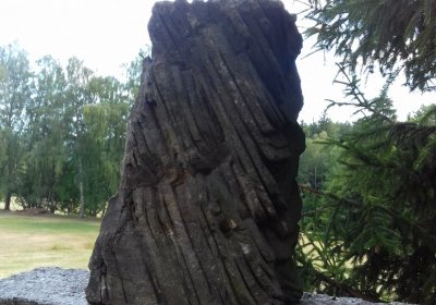 Kmínek Michal, 2019