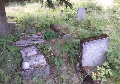 Kmínek Michal, 2019