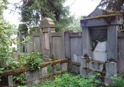 Kmínek Michal, 2019