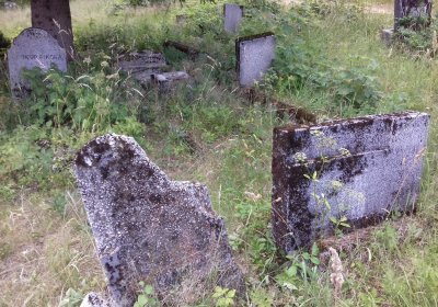 Kmínek Michal, 2019