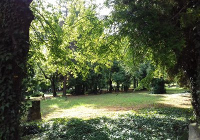 Kmínek Michal, 2019