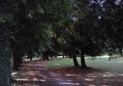 Kmínek Michal, 2019