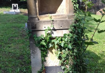 Kmínek Michal, 2019