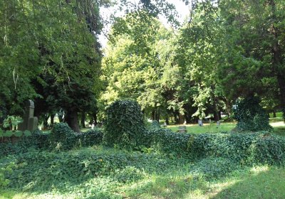 Kmínek Michal, 2019