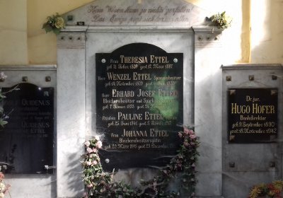 Kmínek Michal, 2019