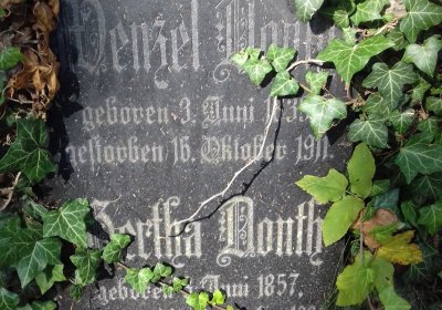 Kmínek Michal, 2019