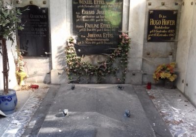 Kmínek Michal, 2019