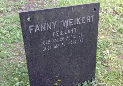 Kmínek Michal, 2019