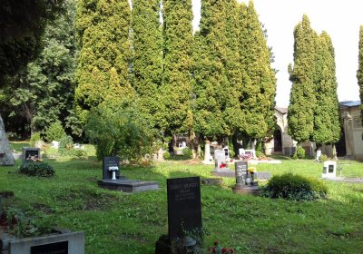 Kmínek Michal, 2019